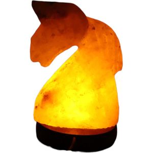 Himalaya Zout USB LED Lamp -Lamp Paardenhoofd - Tafellamp - Paard - 8x7x12cm - 0,5kg