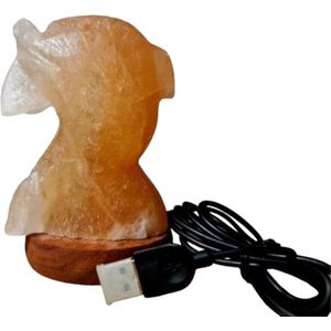 Himalaya Zout USB LED Dolphin Computergebruik met snoer en USB