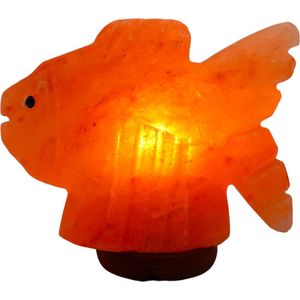 Himalaya Zoutlamp - Vis LAMP - Fish Lamp - Vis - Visje - Fish - Sfeerverlichting - Tafellampen - Verlichting - 18x15x5cm - 3kg