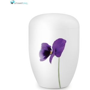 Eco urn wit viooltjes - bio (biologisch afbreekbaar)