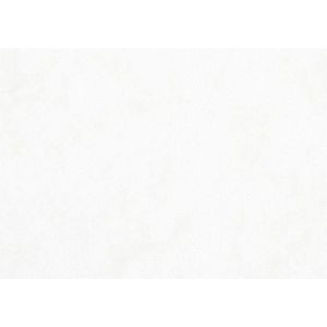 Aquarelpapier - Waterverfpapier - Aquarelblok - Watercolor Paper - Brushlettering Papier - Lichte Structuur - Wit - A3 - 29,7x42cm - 200 grams - 100 Vellen - Incl. Crea Gift