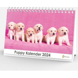 Bureaukalender 2024 - Puppy - 20x12cm - 300gms