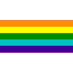 Regenboogvlag met zeven kleuren 200x300cm