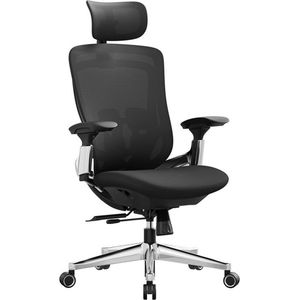 Bureaustoel - Computerstoel - Met mesh rugleuning - Luxe - Met hoofdkussen - Zwart