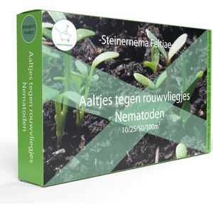 Aaltjes tegen Rouwvliegjes 10m² - Steinernema Feltiae - Nematoden tegen rouwvliegjes - Rouwvliegjes bestrijden - Afweermiddelen binnen