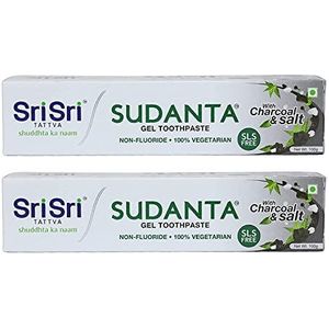 Sri Sri Tattva Sudanta Herbal Gel Toothpaste - All Natural, SLS Free, Fluoride Free Tooth Paste with Charcoal, Salt & More - 100g (Pack of 2), for Kids and Adults