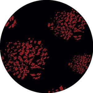 Bonateks, Tapis de souris rond imprimé numérique avec fond antidérapant pour bureau et maison - Diamètre : 22 cm