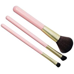 Makkelijk te gebruiken Professionele kwaliteit cosmetische make-up Brush Multifunctionele Tool Rayon Blush Brush Eye Shadow mengen Brush kwaliteit kunststof Dense borstelharen Travel Set 3 Pieces (roz