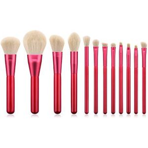 Makkelijk te gebruiken Professionele kwaliteit Cosmetische 12 stuks make-up Penselen Make-up Ruby Loose Powder Eyeshadow Brush Matching wol Verpakte make-up set borstel is Super Soft.