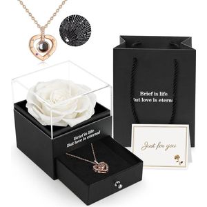 Geconserveerde Echte Roos,Geschenkdoos Met ik Hou Van Je Ketting, Handgemaakte EeuwigeEchte Roos Bloem Cadeau Voor Haar Vrouw Vriendin Moeder Op Verjaardag,Jubileum,Valentijnsdag, Moederdag,Kerstmis