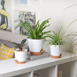 Kunststof Bloempot Wit Set van 3, Φ6.5cm Rond Plantenpot met Bewateringssysteem voor Binnen en Buiten, Decoratie voor Thuis, Kantoor