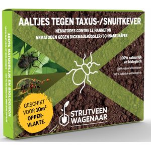 Aaltjes tegen engerlingen 10m2