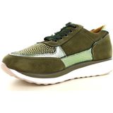 Hafjes - Modena - Sneaker - Green - Synthetisch