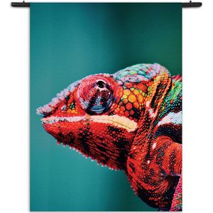 Mezo Wandkleed Kameleon Kleurrijk Rechthoek Verticaal XL (210 X 150 CM) - Wandkleden - Met roedes