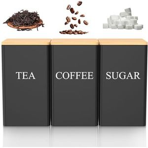 iBasingo Titanium theedoos koffieblik 200 ml kleine thee caddy draagbaar mini blikken glas koffiepoeder voorraaddoos outdoor reizen klein exquise zout peper kruidenpot Ti3210D