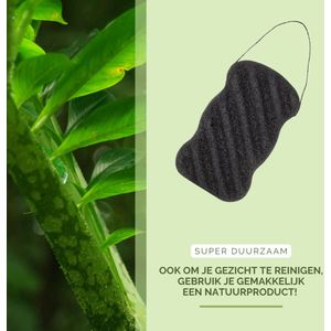 green-goose® Bamboe Houtskool Konjacsponsje - Gezichtreinigingssponsje - 100% Natuurlijk en Biologisch Afbreekbaar - Zacht Reinigend