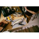 Fiskars - Visschaar - Gebogen - Tanden - Softtouch Grepen