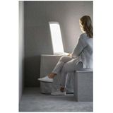 Innolux - Lucia LED - Daglichtlamp - Dimbaar - Groot Formaat