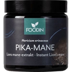 Pruikzwam Lion’s Mane Extract-Foodin