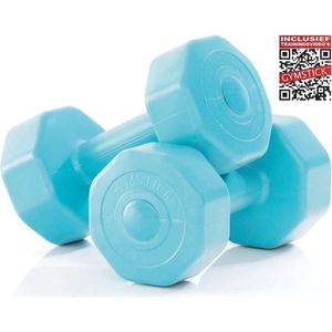 Gymstick Active Vinyl Dumbells - Met Online Trainingsvideo's - 2 x 1 kg