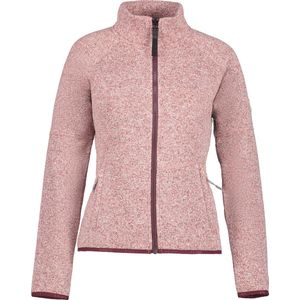 Icepeak - Addison - Fleece - Met Volledige Rits - 100% Polyester