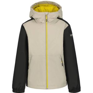 Icepeak - Outdoor Jas - Polyester - Waterafstotend - Ademend - Vaste Capuchon