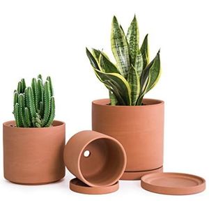 D'vine Dev Terracotta potten voor planten, 4,2 inch 5,3 inch 6,5 inch, vetplanten pot met drainage en schotel, 40-A-T-1
