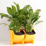 PP planter bloem pot muur opknoping tuin opknoping stapelbare tuin benodigdheden (geel)