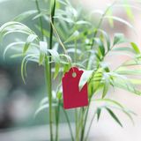 100 stuks waterdichte duurzame en herbruikbare Plastic kwekerij tuin planten Label Flower Tag Mark Plant Tag etiketten  willekeurige kleur levering