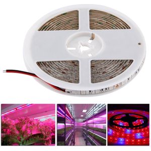 5m SMD 5050 5:1 rode + blauwe Plant groeit Lamp  300 LEDs Aquarium broeikasgassen hydrocultuur waterdichte Epoxy Rope Light  60 LEDs/m  DC 12V