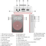 ZXL-H3 Draagbare lesmicrofoonversterker met Time Display  Spec: Wired Version (Rose Gold)