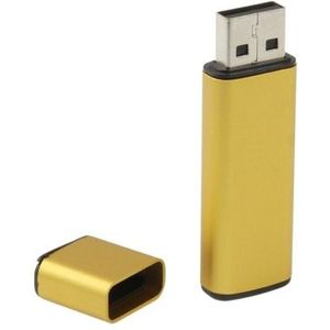 Business serie USB 2.0 Flash Disk  Golden (2GB)
