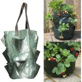 CMD-3 3 gallon opknoping aardbei PE planten tas tuinbouw bloem planten tas (groen)