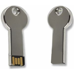 Metal serie Mini USB 2.0 Flash schijf met sleutelhanger (2GB)