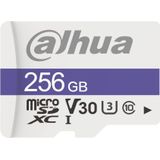 Dahua C100 256 GB MicroSDXC UHS Klasse 10