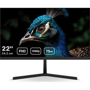 Dahua LM22-B201S - Full HD IPS Monitor - 75Hz - 22 inch - Inclusief HDMI kabel