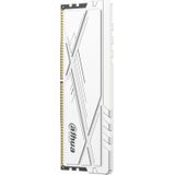 Dahua Technology DDR-C600UHW16G36 geheugenmodule 16 GB 1 x 16 GB DDR4 3600 MHz