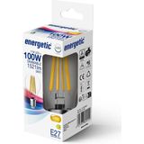 Energetic - LED Lamp A60 E27 - 11W - 1521lm - Warm Wit Licht