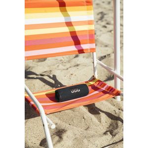 JBL Flip 6 Grey