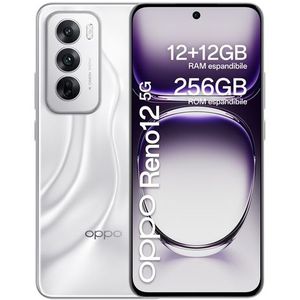 OPPO Reno12 5G 17 cm (6.7") Dual SIM Android 14 USB Type-C 12 GB 256 GB 5000 mAh Zilver