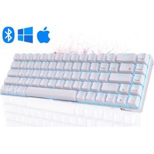 Royal Kludge RKG68 - Mechanisch RGB Toetsenbord - Gaming Keyboard - Wit - RGB - Wired & Wireless - TRI Mode - 2.4Ghz Adapter - Bluetooth - Type-C - Blue Switches - 3/5 Pin - Gaming - Office