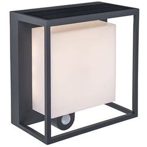 LUTEC LED solarlamp Curtis met bewegingssensor