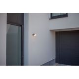 Lutec - Cyra Outdoor Wall Light
