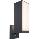 LUTEC Cuba - LED Wandlamp voor buiten met sensor - Donkergrijs