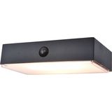 LUTEC Connect FADI - Slimme LED Wandlamp op zonne-energie met sensor -Zwart