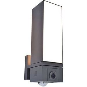 LUTEC connect LED buitenwandlamp Cuba, camera sensor