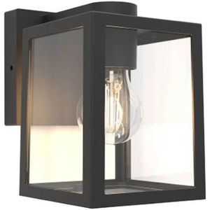 LUTEC Buitenwandlamp Shiva lantaarn met helder glas