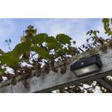 LUTEC Arrow - Wandlamp op Zonne-Energie - Sensor - LED - Donkergrijs