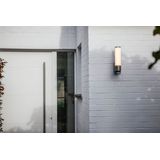 LUTEC Leda - Buitenverlichting LED Wandlamp met Sensor - Roestvrij Staal