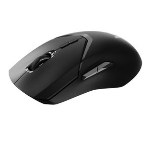 Rapoo - VT9PRO - Gaming Muis - Zwart - Draadloze Technologie